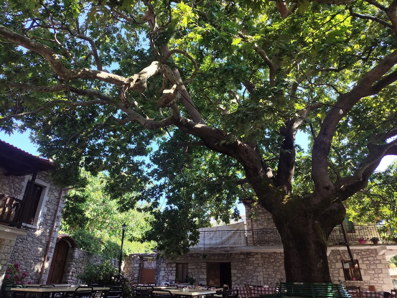 Θέα του χωριού και της ατμόσφαιρας του Ζυγοβιστίου